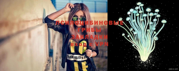 гашиш Белокуриха