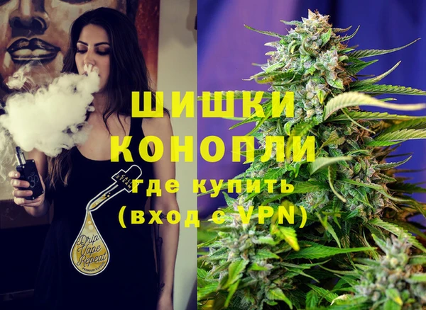 шишки Баксан