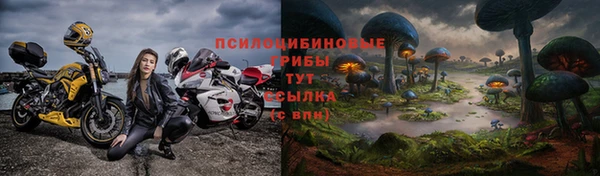 гидропоника Белоозёрский