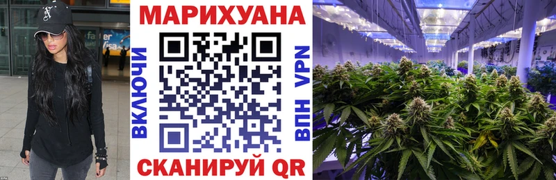 наркотики  Чердынь  Канабис SATIVA & INDICA 